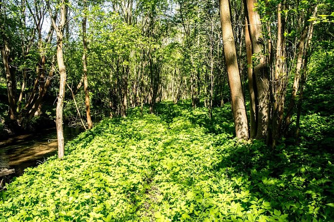 Wetter-Bild (Foto: Gernot Thelemann)
