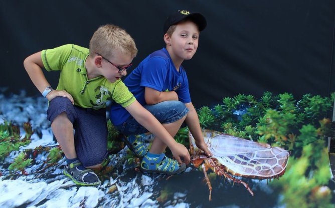  2. Bildungs- und Familienmesse (Foto: Karl-Heinz Herrmann)