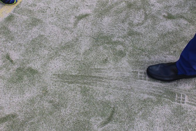 Auf dem G&ouml;ldner keine Zusage machen k&ouml;nnen (Foto: Karl-Heinz Herrmann)