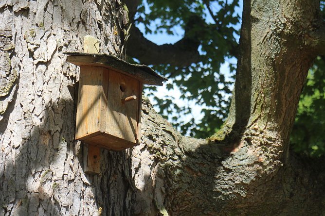 Wetterbild (Foto: Angelo Glashagel)