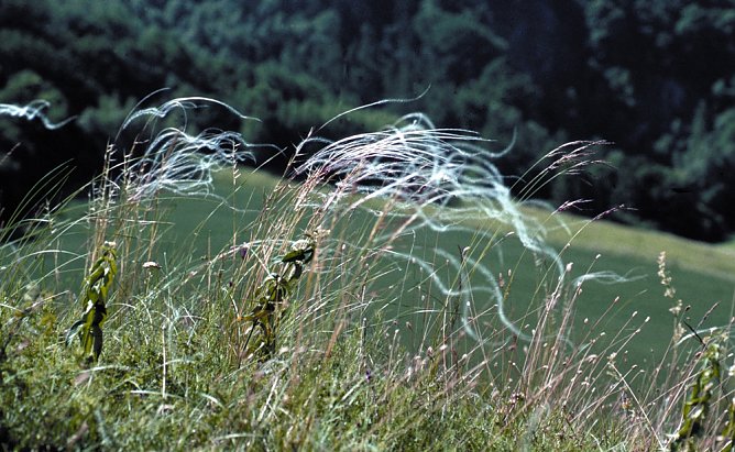 Wanderung im S&uuml;dkyffh&auml;user (Foto: M. Lindner)