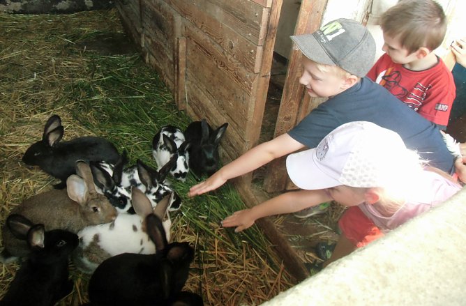 Bauernhoftiere hautnah (Foto: Kindervilla Bad Frankenhausen)