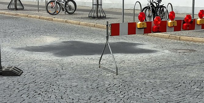 Schilfernte und Umleitungen (Foto: Karl-Heinz Herrmann)