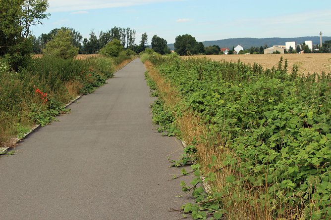 Da w&auml;chst etwas zu! (Foto: Karl-Heinz Herrmann)