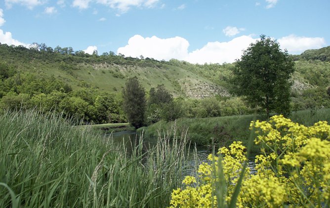 Kr&auml;uterwanderung im Wipper-Durchbruch (Foto: Naturpark Kyffh&auml;user)