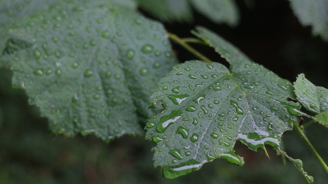 Wetterbild (Foto: Angelo Glashagel) Wetterbild (Foto: Angelo Glashagel)