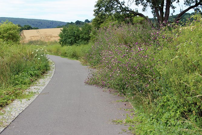 Pflegegemeinschaft Radweg bilden (Foto: Karl-Heinz Herrmann)