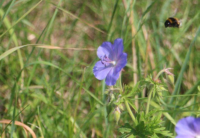 Wetterbild (Foto: Angelo Glashagel)