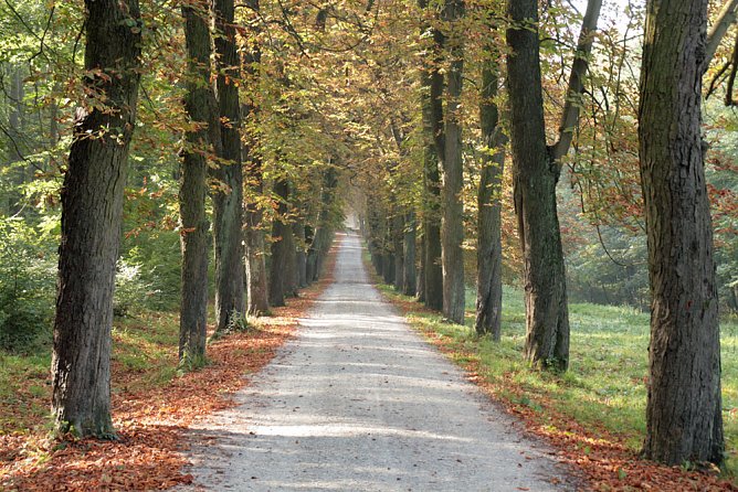 Einladung zum Waldgespr&auml;ch (Foto: Th&uuml;ringer Forstamt)