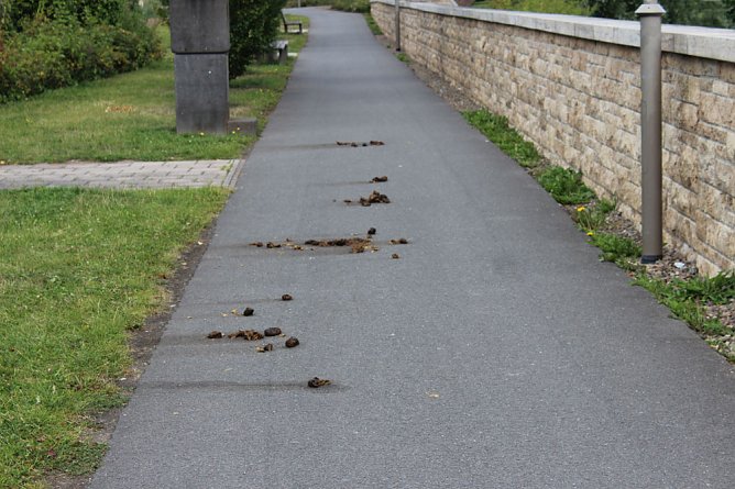 Licht und Schatten in Sondershausen (Foto: Karl-Heinz Herrmann)