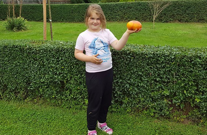 Prachtexemplar im KGV Hammatal",entdeckt! (Foto: Jörg Hass) Prachtexemplar im KGV Hammatal",entdeckt! (Foto: Jörg Hass)