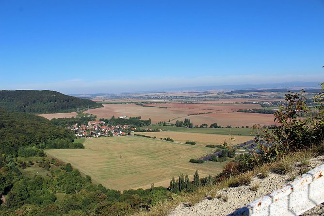 Internationales Workcamp auf der Feuerkuppe (Foto: Karl-Heinz Herrmann) Internationales Workcamp auf der Feuerkuppe (Foto: Karl-Heinz Herrmann)