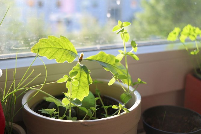 Wetterbild (Foto: Angelo Glashagel) Wetterbild (Foto: Angelo Glashagel)