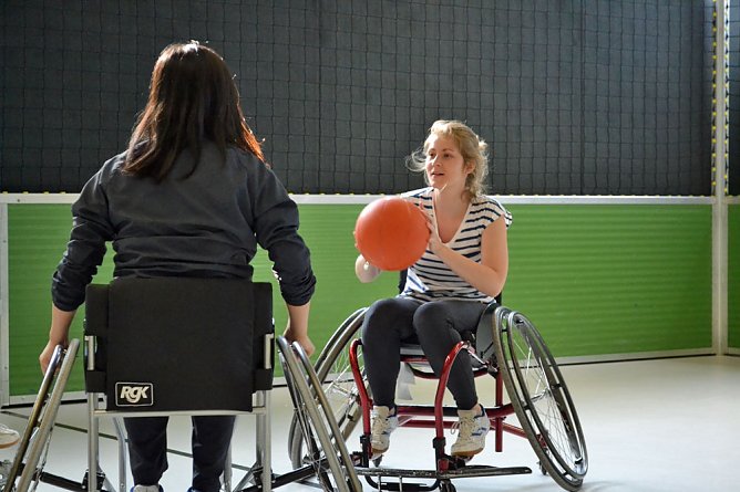 Auf der Feuerkuppe kommt was ins Rollen (Foto: Ferienpark Feuerkuppe)