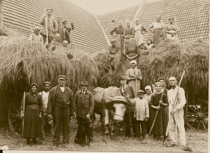Vortrag im Regionalmuseum (Foto: Regionalmuseum Bad Frankenhausen)