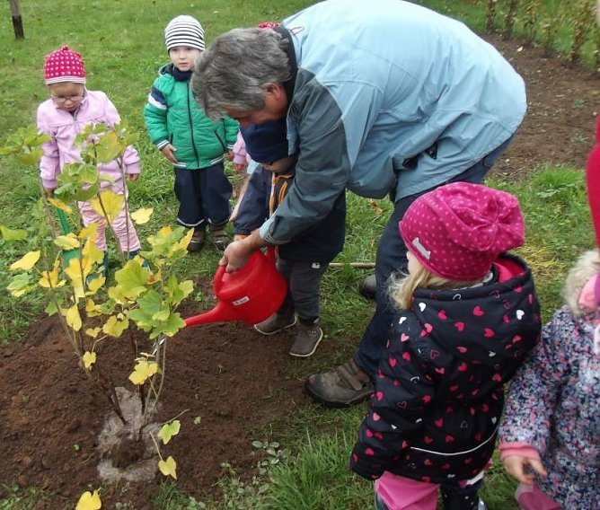 N&auml;chstes Jahr wird genascht (Foto: Thomas Leipold)