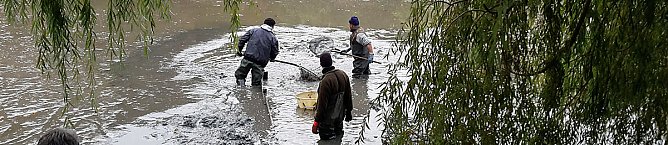 M&uuml;llabladeplatz Schlosspark? (Foto: Karl-Heinz Herrmann)