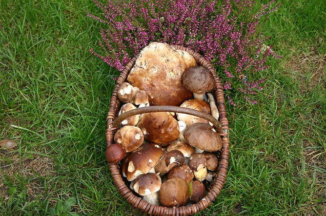 Fundmeldung (Foto: J&uuml;rgen M&uuml;ller)