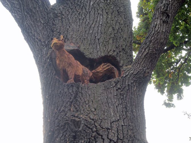 Ferienaktionen im Domizil (Foto: Domizil) Ferienaktionen im Domizil (Foto: Domizil)