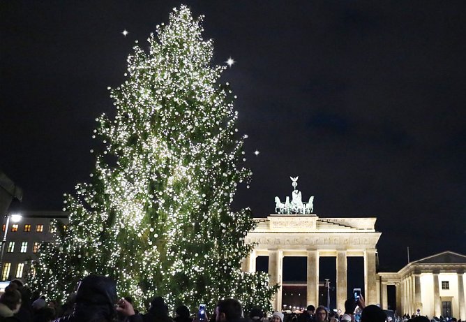 Weihnachtsbaum in Berlin (Foto: Forst Th&uuml;ringen)
