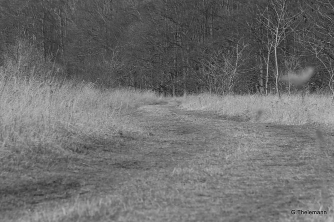 Wetter-Bild (Foto: Gernot Thelemann)