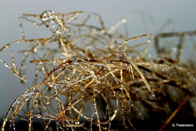 Wetter-Bild (Foto: Gernot Thelemann)