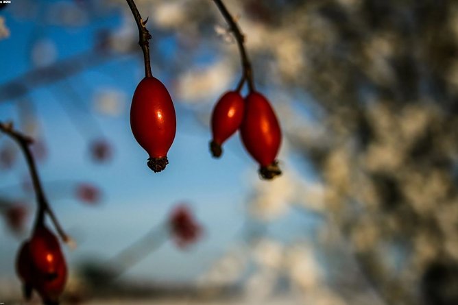 Wetter-Bild (Foto: Gernot Thelemann)