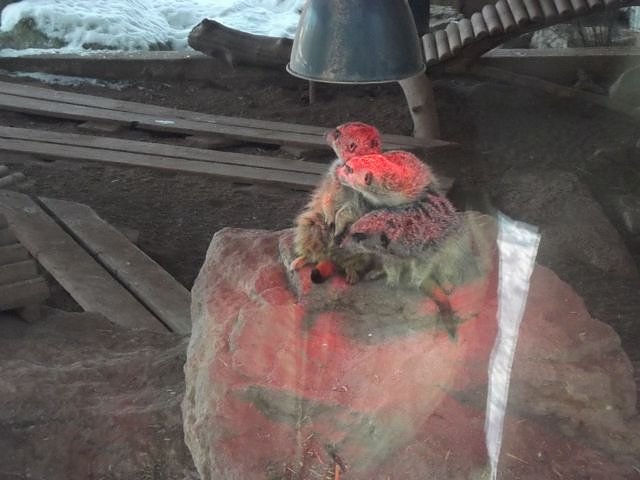 Winterspa&szlig; auf dem Possen (Foto: Thomas Leipold)