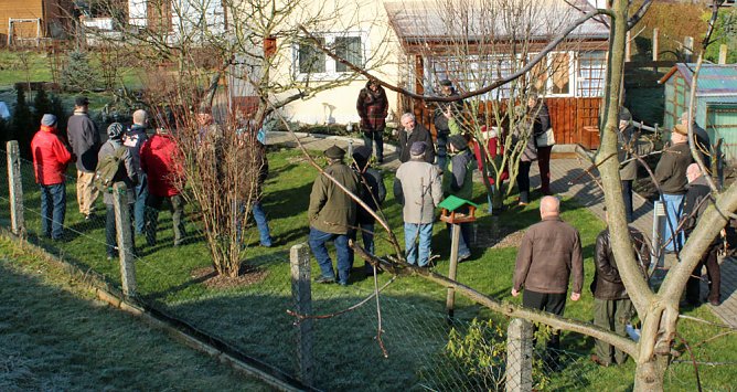 Obstbaumschnitt in Bad F., SDH und ART (Foto: Karl-Heinz Herrmann)