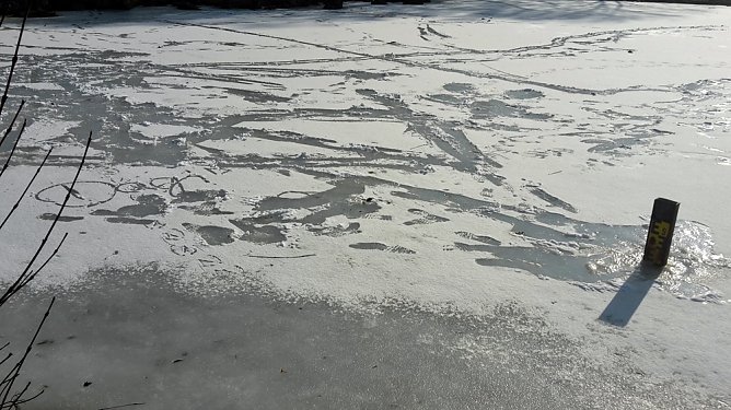 Ganz schön leichtsinnig! (Foto: Privat) Ganz schön leichtsinnig! (Foto: Privat)