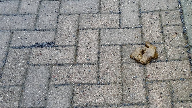 Neues und altes aus Sondershausen (Foto: Karl-Heinz Herrmann)