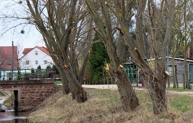 Neues aus Bad Frankenhausen (Foto: Karl-Heinz Herrmann) Neues aus Bad Frankenhausen (Foto: Karl-Heinz Herrmann)