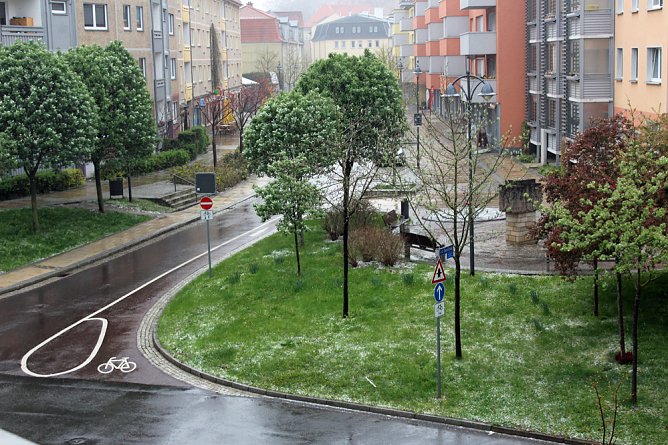 Was f&uuml;r eine verr&uuml;ckte Welt (Foto: Karl-Heinz Herrmann)