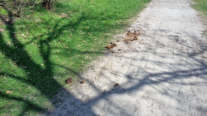 Was haben die Sondersh&auml;user gegen den Schlosspark? (Foto: Karl-Heinz Herrmann)