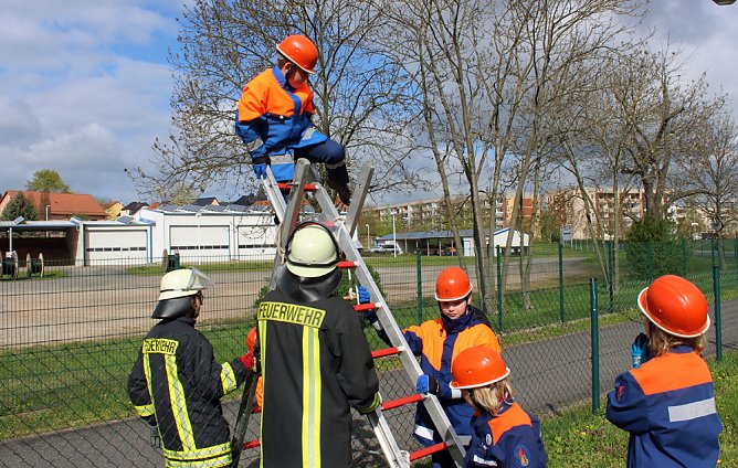 &Uuml;ber den Zaun gestiegen (Foto: &Uuml;ber den Zaun gestiegen)