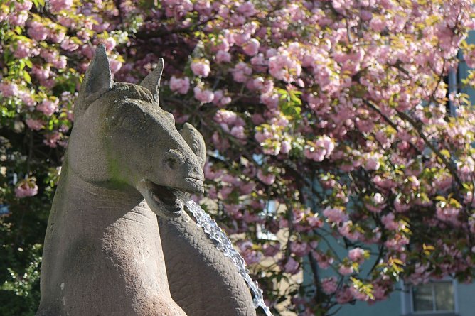 Wetterbild (Foto: Angelo Glashagel) Wetterbild (Foto: Angelo Glashagel)