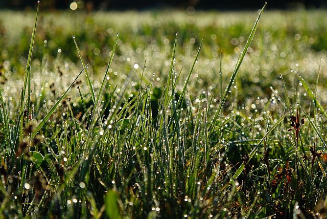 Wetter-Bild (Foto: Gernot Thelemann)