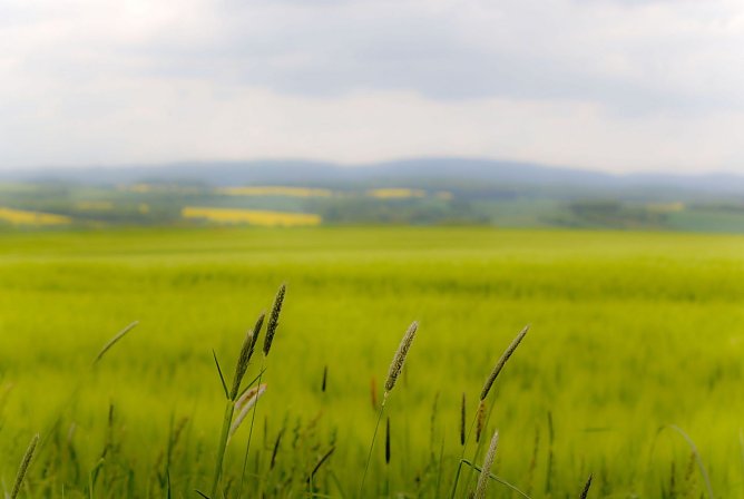 Wetter-Bild (Foto: Gernot Thelemann)