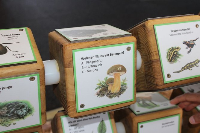 Indoorspielplatz auf Possen eröffnet (Foto: Karl-Heinz Herrmann) Indoorspielplatz auf Possen eröffnet (Foto: Karl-Heinz Herrmann)