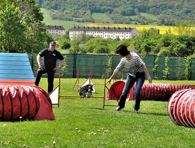 ABC Hundeschule (Foto: ABC Hundeschule) ABC Hundeschule (Foto: ABC Hundeschule)