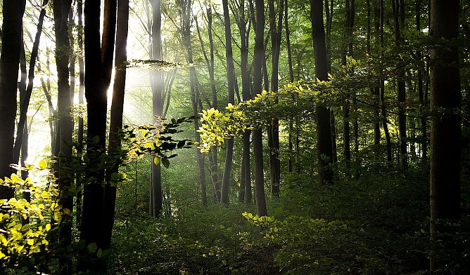 Wetter-Bild (Foto: Gernot Thelemann)