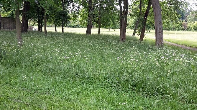 Sondershausen macht sich schick (Foto: Karl-Heinz Herrmann) Sondershausen macht sich schick (Foto: Karl-Heinz Herrmann)