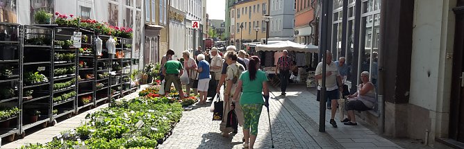 Verwegener Vorschlag? (Foto: Karl-Heinz Herrmann)