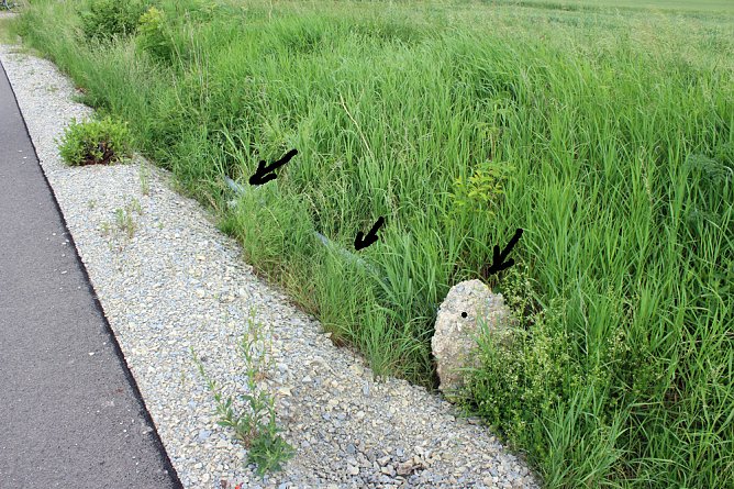 Die Probleme mit der Sicherheit am Radweg (Foto: Karl-Heinz Herrmann) Die Probleme mit der Sicherheit am Radweg (Foto: Karl-Heinz Herrmann)