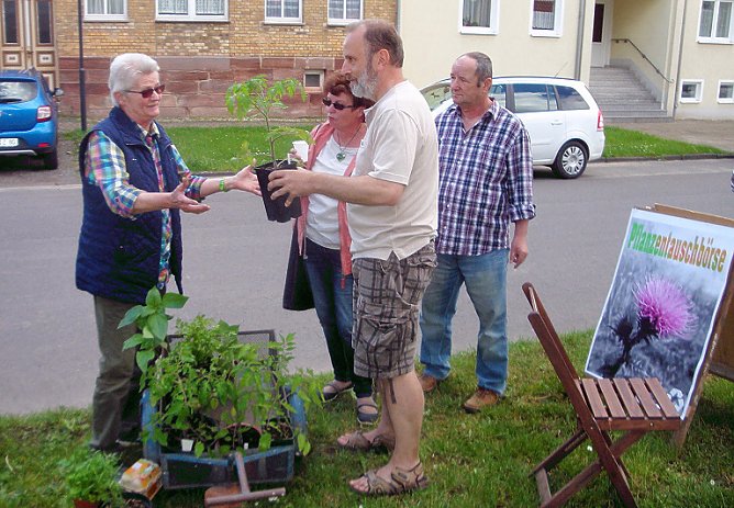 Dieses war der 3. Streich…. (Foto: Peter Zimmer) Dieses war der 3. Streich…. (Foto: Peter Zimmer)