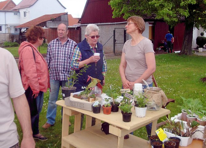 Dieses war der 3. Streich…. (Foto: Peter Zimmer) Dieses war der 3. Streich…. (Foto: Peter Zimmer)