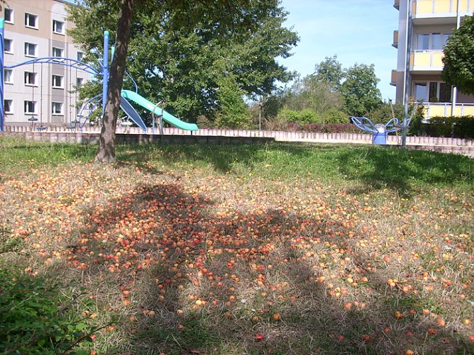 Spielplatz Östertal (Foto: Karl-Heinz Herrmann) Spielplatz Östertal (Foto: Karl-Heinz Herrmann)