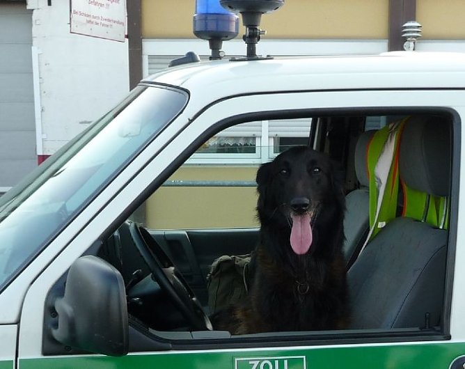 Im Einsatz (Foto: Zoll) Im Einsatz (Foto: Zoll)