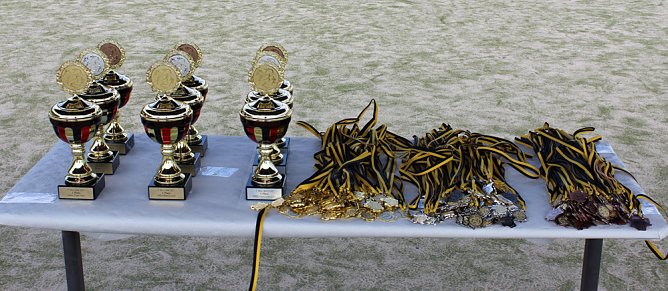 Ergebnisse der 7. Mini-WM der Leichtathletik (Foto: Karl-Heinz Herrmann) Ergebnisse der 7. Mini-WM der Leichtathletik (Foto: Karl-Heinz Herrmann)