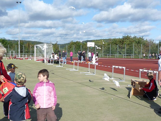 4. St&auml;dte-Marathon in Sondershausen (Foto: Karl-Heinz Herrmann)